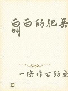 白白的肥岳嗷嗷叫