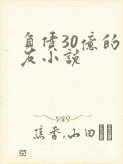 负债30亿的男友小说