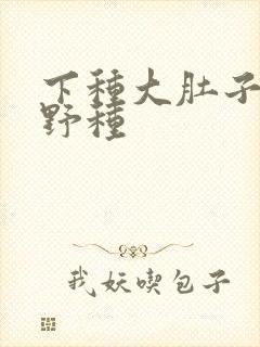 下种大肚子怀孕野种