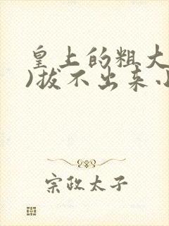 皇上的粗大(h)拔不出来小说