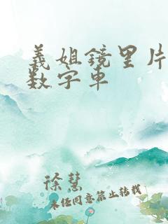 义姐镜里片微博数字车