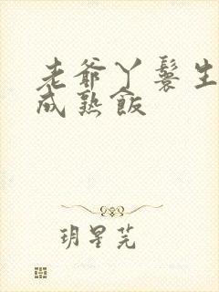 老爷丫鬟生米煮成熟饭