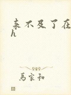 来不及了在车ch