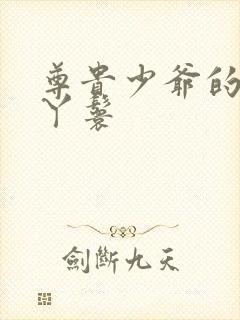 尊贵少爷的大牌丫鬟