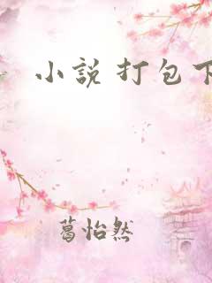 小说 打包下载