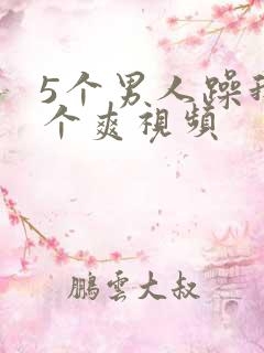 5个男人躁我一个爽视频