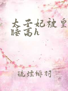 太子妃被皇上强睡高h