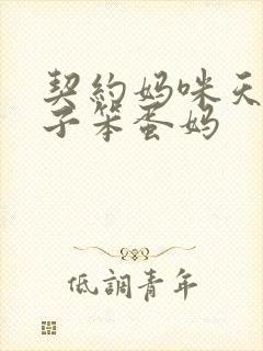 契约妈咪天才儿子笨蛋妈