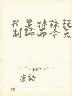 我是特殊玩具定制师而今天的客户