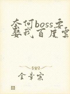 奈何boss要娶我百度云