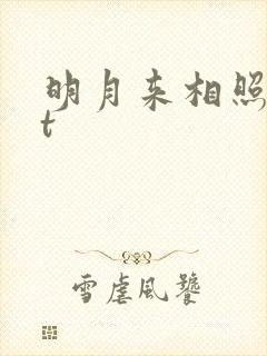 明月来相照txt