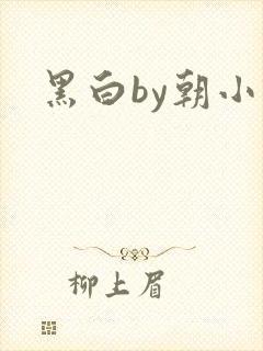 黑白by朝小诚