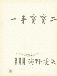 一手宝宝二手妻