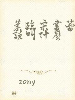 叶临宋书蕾的小说叫什么