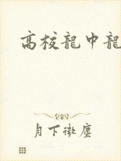 高校龙中龙下载