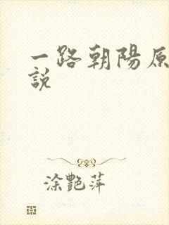 一路朝阳原著小说