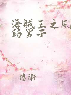 海贼王之风一样的男子