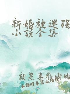 新婚被迷强系列小说全集