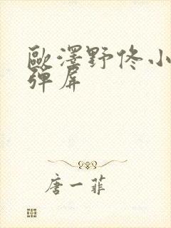 欧泽野佟小曼无弹屏