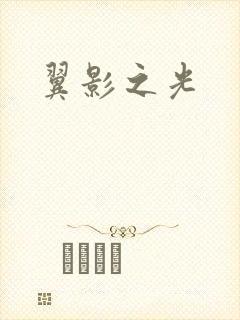 翼影之光