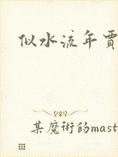 似水流年贾二虎