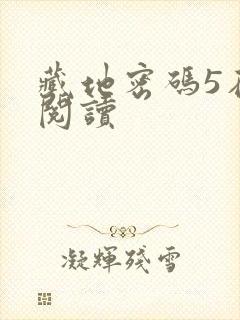 藏地密码5在线阅读