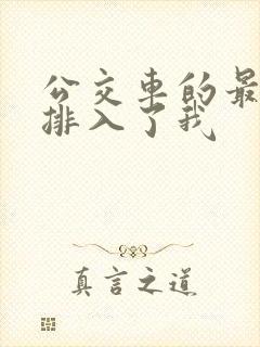 公交车的最后一排入了我