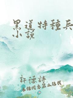 黑道特种兵有声小说