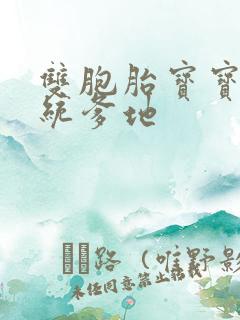 双胞胎宝宝的总统爹地