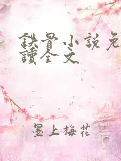 铁骨小说免费阅读全文
