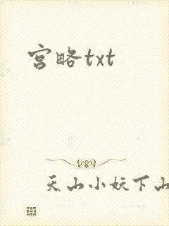 宫略txt