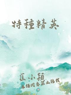 特种精英