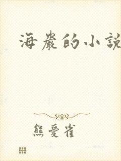 海岩的小说