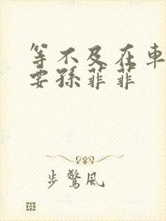 等不及在车里就要孙菲菲