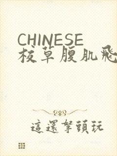 CHINESE校草腹肌飞机视频