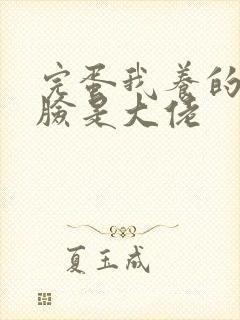 完蛋我养的小白脸是大佬