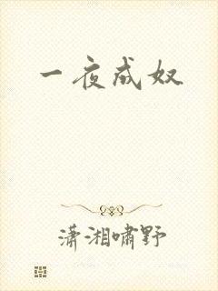 一夜成奴