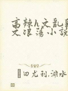 高辣h文乱乳h文浪荡小说苏卿