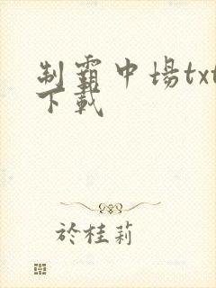 制霸中场txt下载