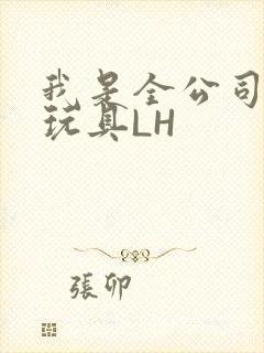 我是全公司发泄玩具LH