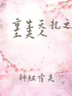 重生天龙之推倒王夫人