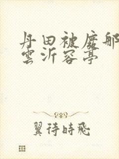 丹田被废那些年云沂容亭