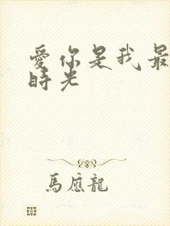 爱你是我最好的时光