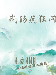 我的疯狂网游史