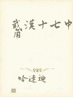 武汉十七中女主角