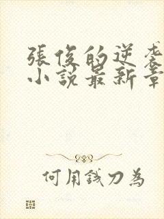 张俊的逆袭之路小说最新章节