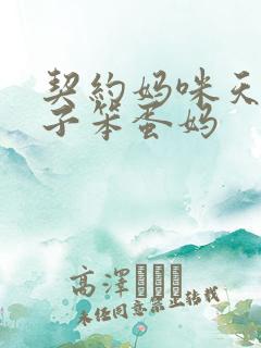 契约妈咪天才儿子笨蛋妈