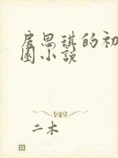 房思琪的初恋乐园小说