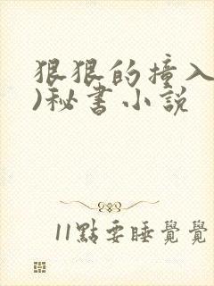 狠狠的撞入(h)秘书小说