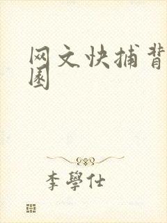 网文快捕背影家园